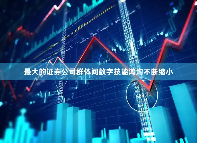 最大的证券公司群体间数字技能鸿沟不断缩小