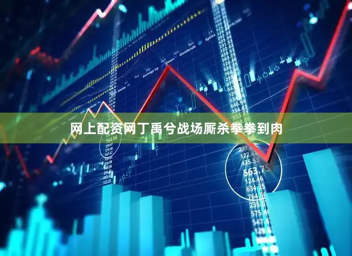 网上配资网丁禹兮战场厮杀拳拳到肉