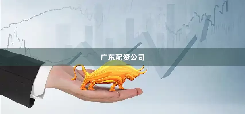 广东配资公司
